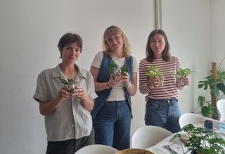 Jeudi 5 juin, la Green Team de l’Udaf de la Gironde a organisé un atelier bouture dans les locaux de l’Udaf. Animé par Charlotte Alix (Déléguée MJPM) et Sarah Galvão (Attachée de direction), cet atelier a permis aux participants de partager un moment d’échange autour des plantes et de repartir avec une petite pousse à faire grandir chez soi. 🌱